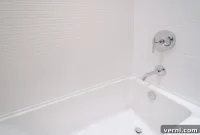 Exploring Bathtub Materials