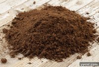 Sphagnum Peat Moss Demystified Your Guide to Optimal Use