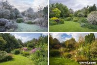 Seasonal DIY Lawn Care: Your Year-Round Yard Guide