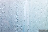 The Ultimate Guide to Steam Showers