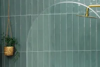 Choosing the Perfect Shower Door