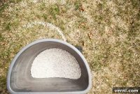 Fall Lawn Fertilizing: Your Guide to Timing and Technique