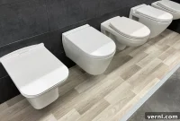 Smart Toilet Shopping Types and Flush Systems