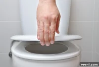 Your Comprehensive Guide to Toilet Seats