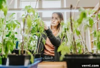 Grow Lights for Thriving Indoor Plants