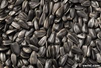 Black Oil Sunflower Seeds: Nature’s Nutritional Powerhouse