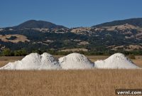 Gypsum for Soil: Understanding Its Benefits and Uses