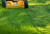 The Ideal Mowing Height for a Healthy Lawn