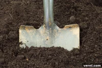 Prepping Your Garden Soil for a Thriving Spring
