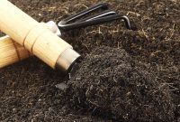 Understanding Loam Soil: The Gardener’s Essential Guide