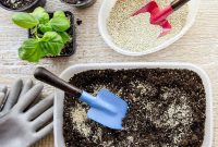 Unlock Your Garden’s Potential with Vermiculite