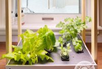 Rise Garden Review Our Top Pick Hydroponic Indoor Garden System