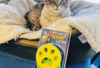 The End Of Laundry Pet Hair FurZapper Review