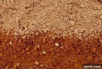 Demystifying Clay Soil