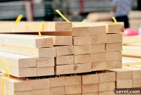 Pine Wood Revealed: Essential Insights