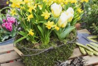 Replanting Potted Bulbs: Extend Their Life