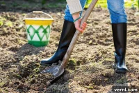 The Essential Guide to Leveling Your Lawn