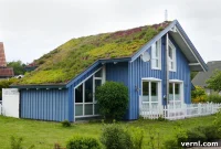 Here’s the original title, its English translation, and a single, original title:

Original Title: What Is a Green Roof?

English Translation: Yeşil Çatı Nedir?

Original Title: Living Roofs: An Introduction