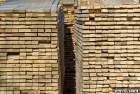 City Trees to Timber: The Rise of Urban Lumber
