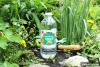 7 Vinegar Uses For Your Garden The Good The Bad And The Questionable