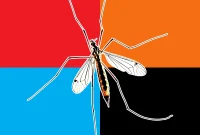 Dress to Repel: The Four Colors That Keep Mosquitoes Away
