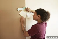 Replicate Your Walls Paint Color