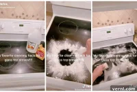 TikTok’s Burnt Glass Stove Top Hack: Fact or Fiction?