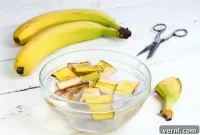 Banana Peel Water The Ultimate Plant Food or Folly