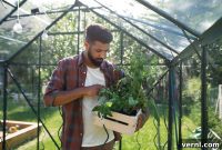 Unlocking Your Greenhouse’s Ideal Climate