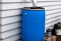 Unlock Free Water: The Essential Rain Barrel Guide