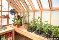 Cultivating a Thriving Greenhouse Garden