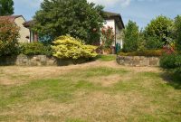 Drought-Proof Your Turf: Keeping It Vibrant Amidst Water Restrictions