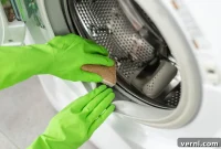 The Ultimate Guide to a Mold-Free Washing Machine