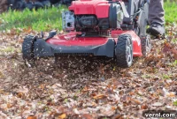 Mow Your Leaves: The Easier Smarter Way to Clean Up Your Yard