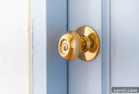Beyond The Luster Why Brass Doorknobs Persist