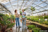 Your Garden’s Perfect Plant Count: Expert Strategies
