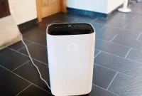 Dehumidifiers Your Key to a Healthier Home