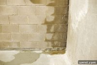 Basement Wall Waterproofing: Achieve a Dry Foundation