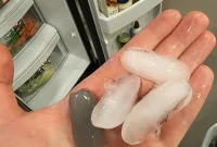 What Gray Ice Cubes In Your Fridge Really Mean