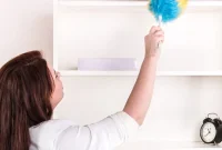 Mastering Dust Removal for a Spotless Home