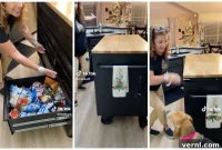 See The Shocking Ways People Are Using This Home Depot Work Bench