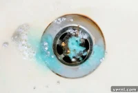 Eliminate Shower Drain Odors