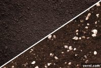 Garden Soil vs. Potting Soil: Your Guide to Choosing Right