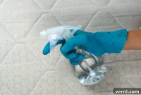 Alcohol Spray for Bed Disinfection What You Need to Know