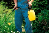 5 Natural Ways to Eliminate Weeds Effectively