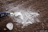 Discover the Power of Wood Ash for a Thriving Garden