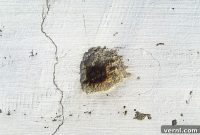 Concrete Floor Pitting: Causes and Cures