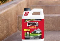Amdro Ant Killing Bait: The Ultimate Guide to Use, User Reviews, and Its Benefits and Drawbacks