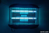 Best Indoor Mosquito Traps: Eliminate Pests and Enjoy Your Home