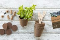 Seed a Greener Future with Our Organic Starter